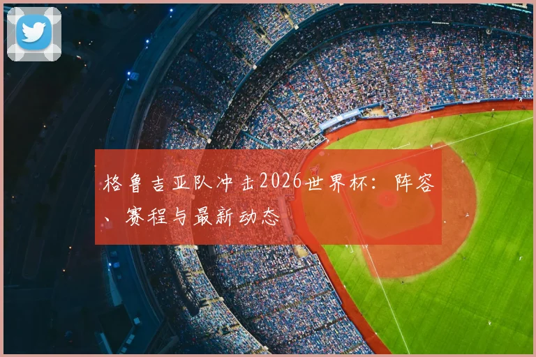 格鲁吉亚队冲击2026世界杯：阵容、赛程与最新动态